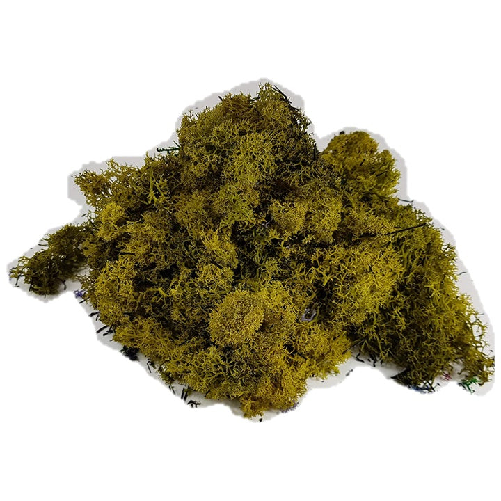 Mușchi islandez 500 g