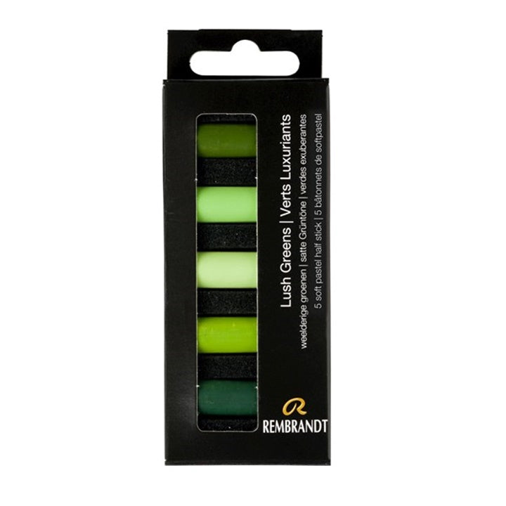 Pastele uscate Rembrandt 5 buc - alege