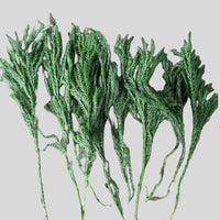 Plante uscate pentru fabricarea săpunului – Pin 10g
