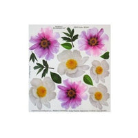 termofolie pentru tehnica sospeso trasparente 23x24 cm peony