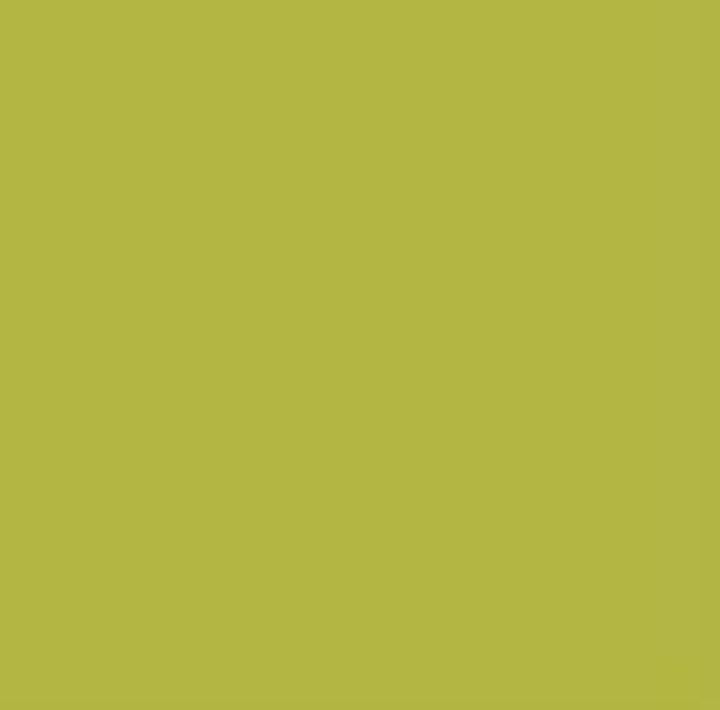 vopsea decorativa pentart chalky ro pntchalky100