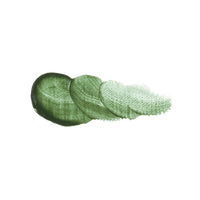 vopsele de ulei vernet holbein 20 ml ro hlbhov